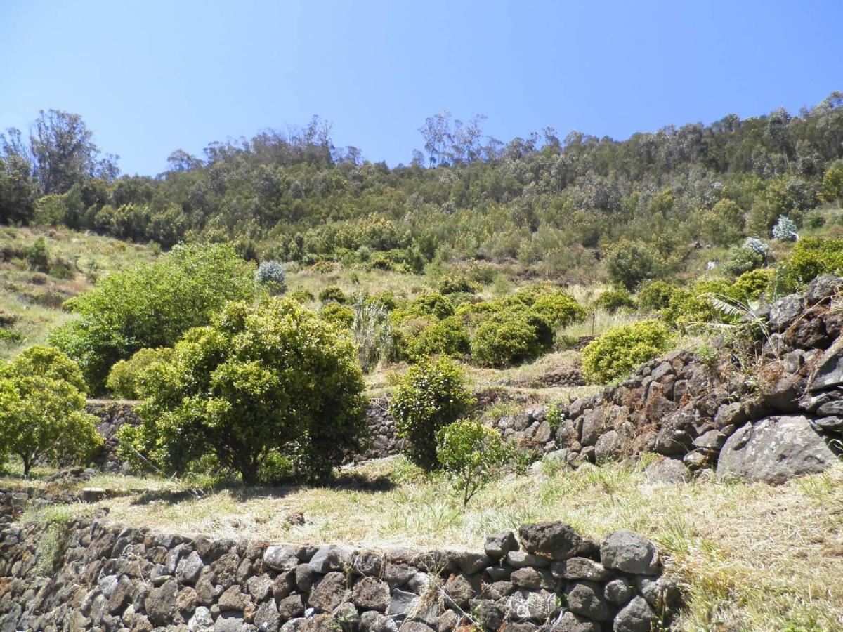 Villa Luz Santa Cruz  Esterno foto